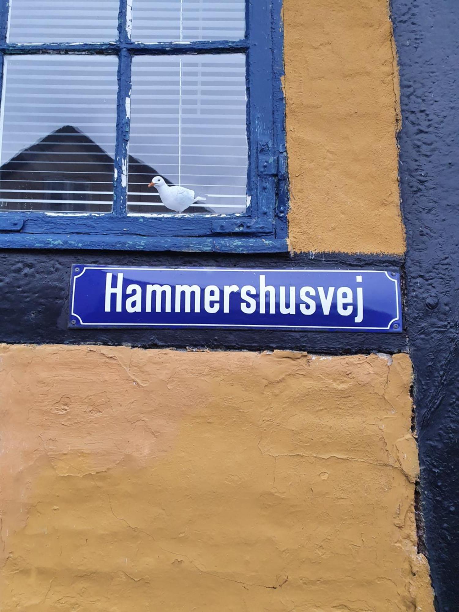 Sandvighus Allinge-Sandvig Exterior foto